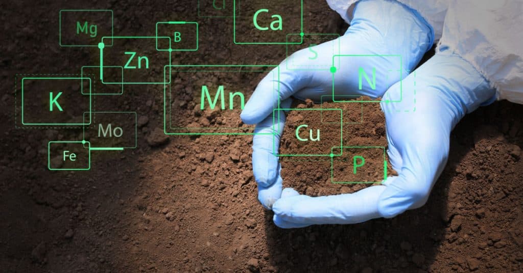 Soil Remediation & Testing in Salisbury